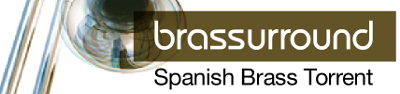 BrasSurround Logo